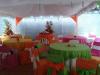 Foto de Festejos tu mundo de fiesta sophi C.A.-shows para fiestas y